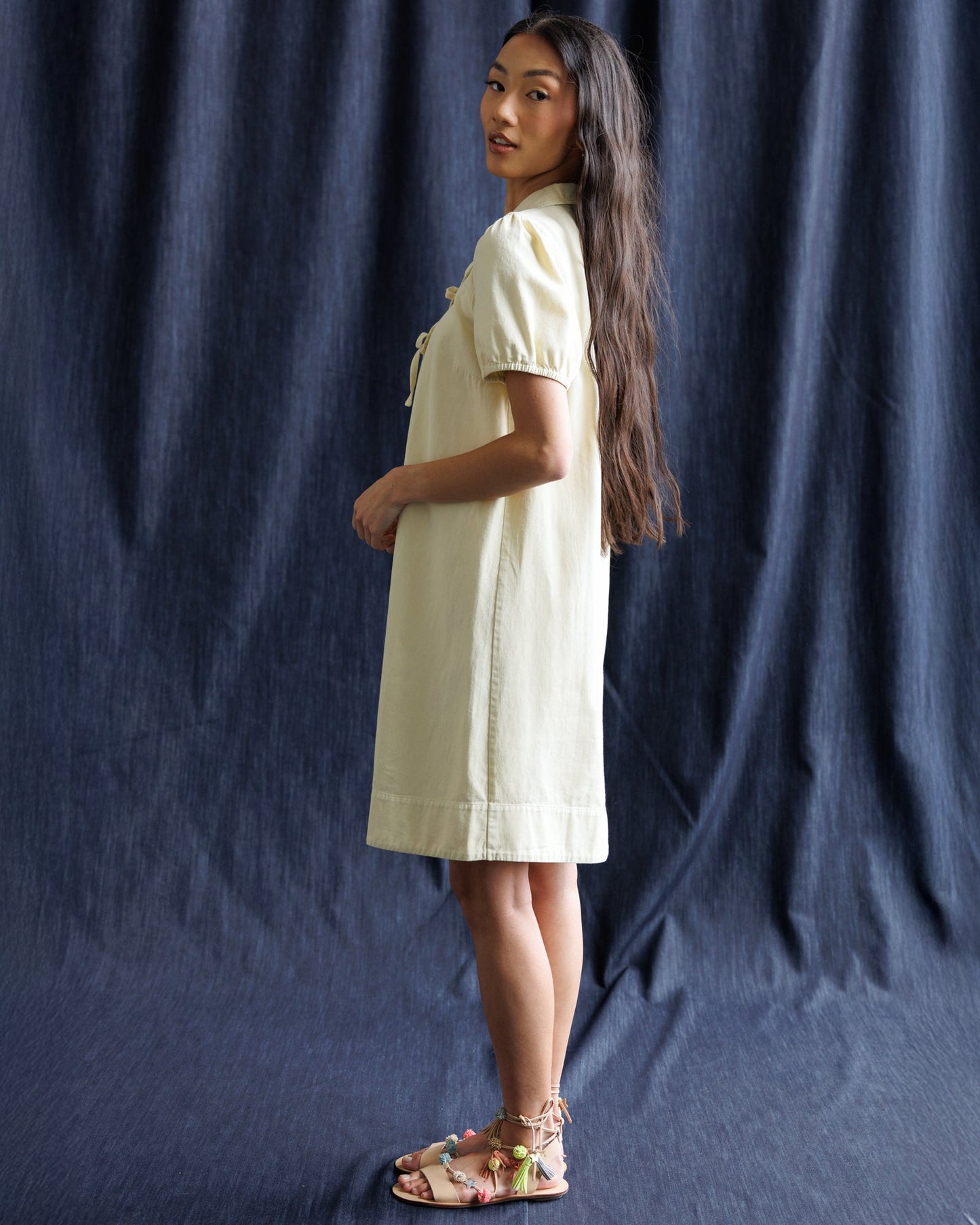 Demure Denim Dress