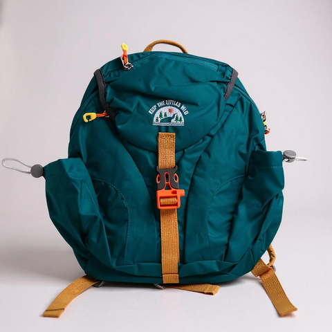 Backpack- dark Blue