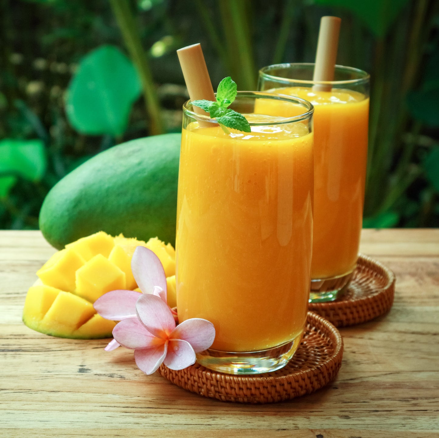 Mango Bellini Cocktail Drink Mix | Wine Slush & Mocktail Mixer Jar